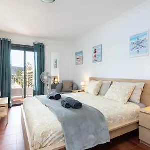Buho Cristianos , Los Cristianos (Tenerife) Spagna